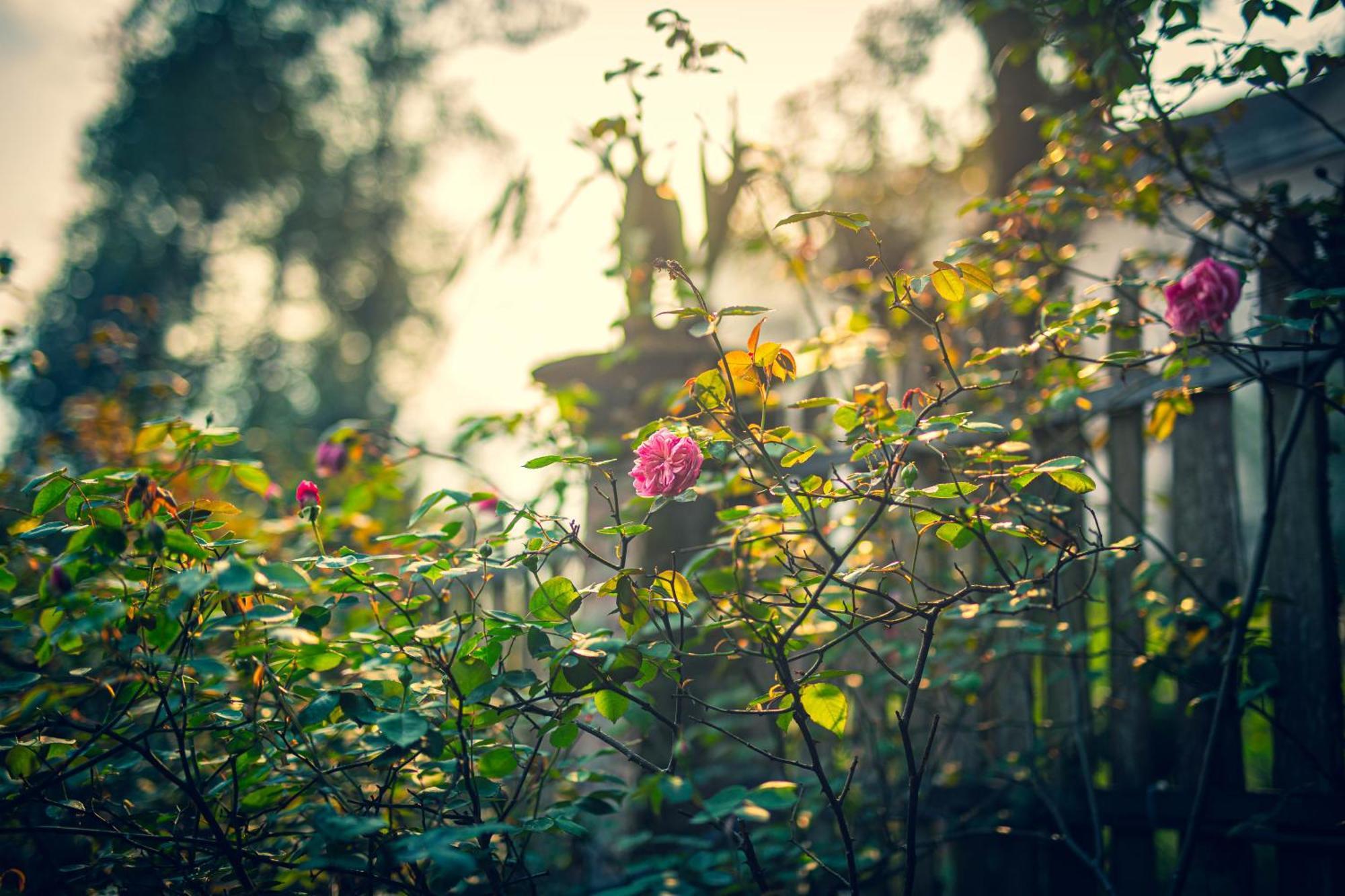 Green Sapa Homestay Exterior foto